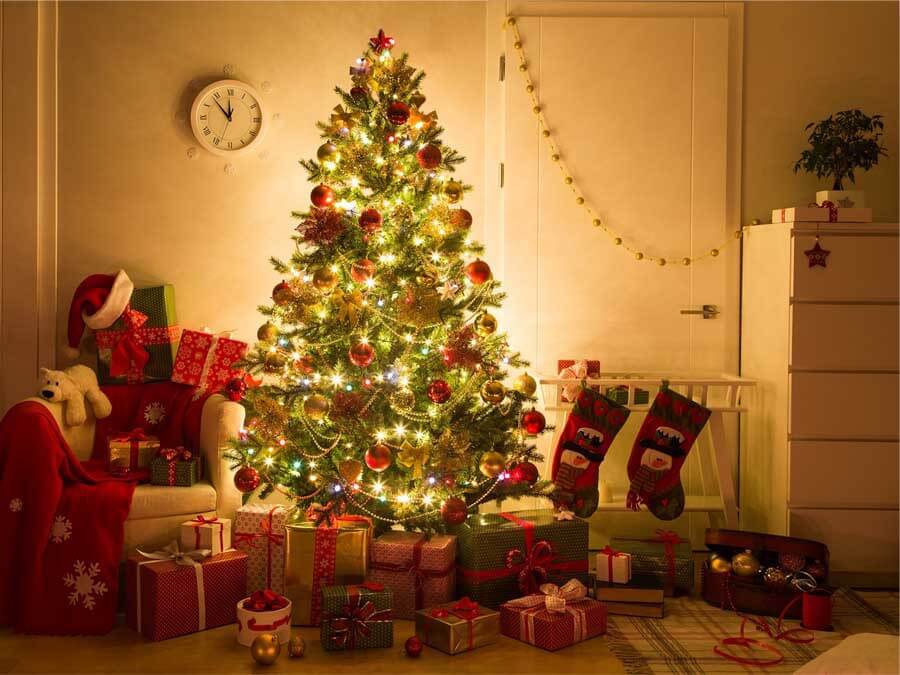 Trang trí Noel bằng cây thông lấp lánh