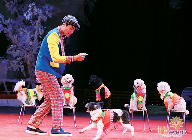 Sự điêu luyện trong cách huấn luyện cún của xiếc ảo thuật gia giúp chúng nghe lời trên sân khấu